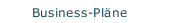 Business-Pl&auml;ne